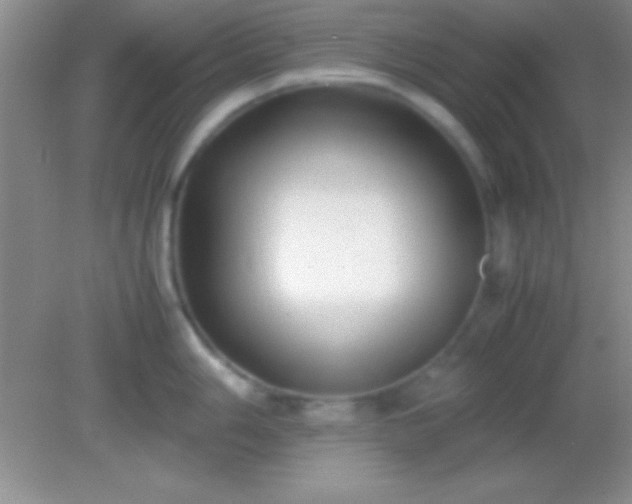 X0000082141006200701262238