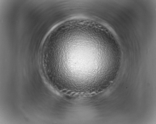 X0000082141008200701262238