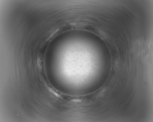 X0000082141010200701262237