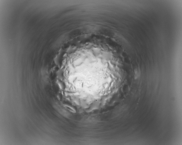 X0000082141011200701262237