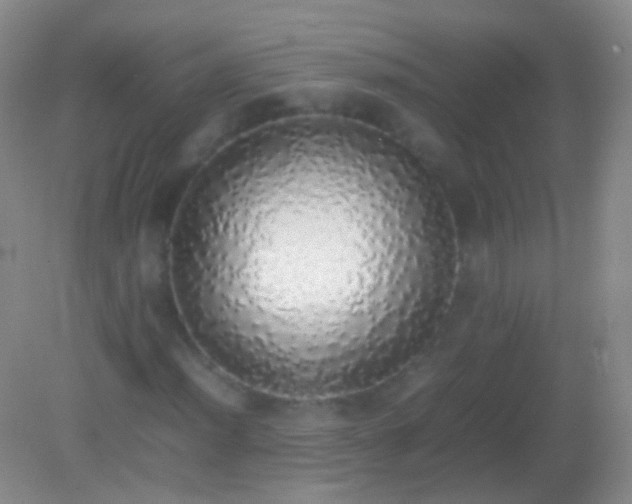 X0000082141012200701262237