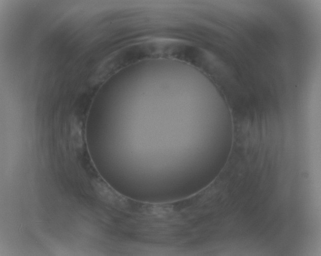 X0000082141013200701262237