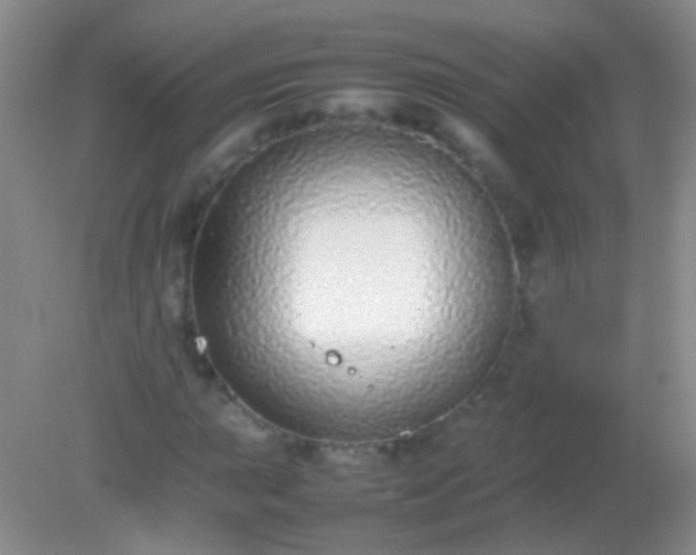 X0000082141015200701262237