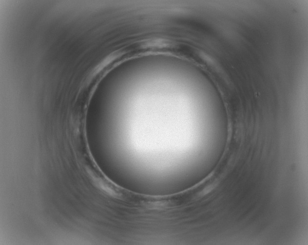 X0000082141017200701262237