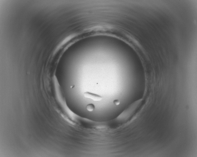 X0000082141018200701262237