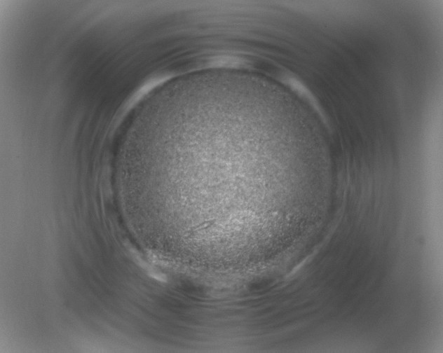 X0000082141019200701262237