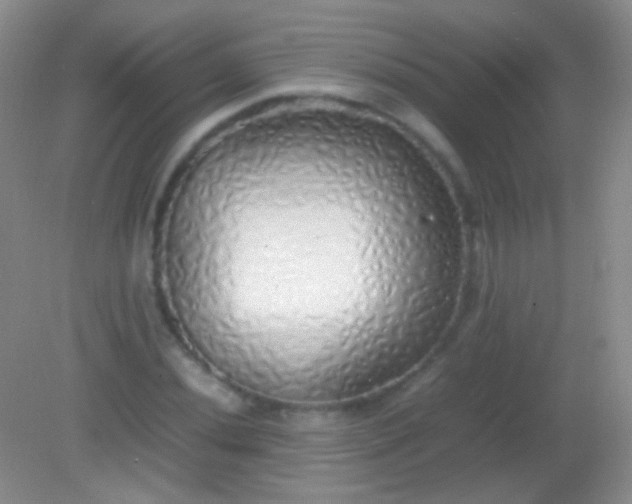 X0000082141020200701262237