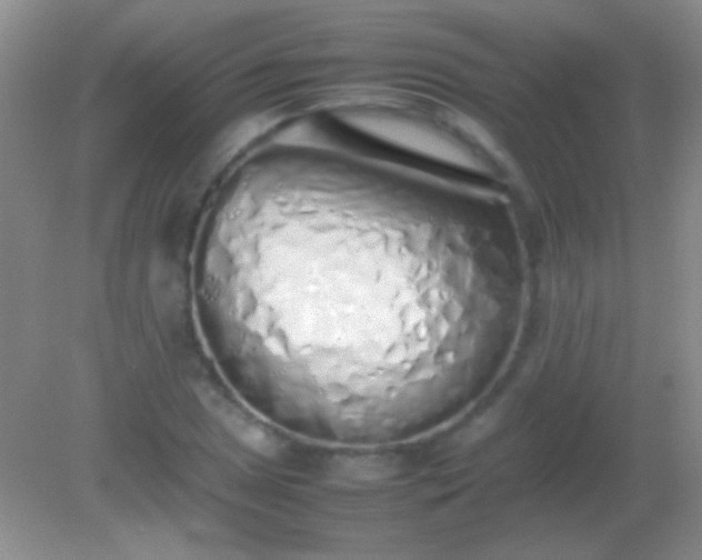 X0000082141025200701262237