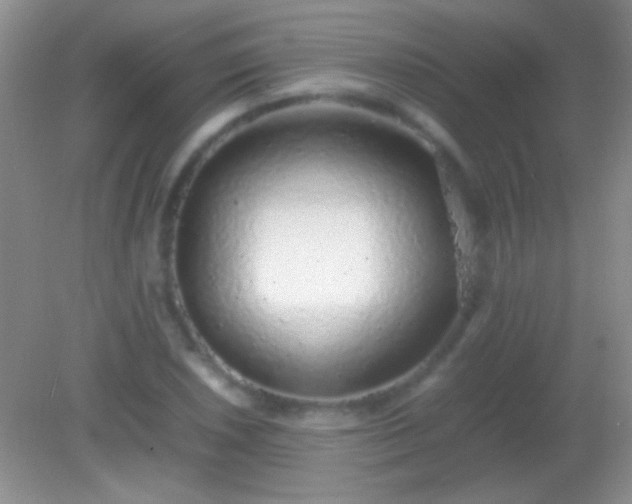X0000082141026200701262237