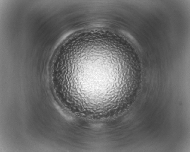 X0000082141031200701262237