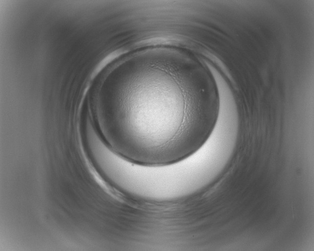 X0000082141034200701262237