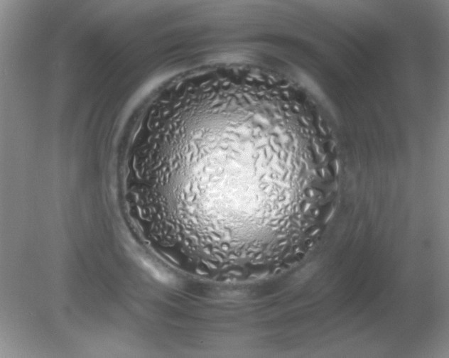 X0000082141035200701262237