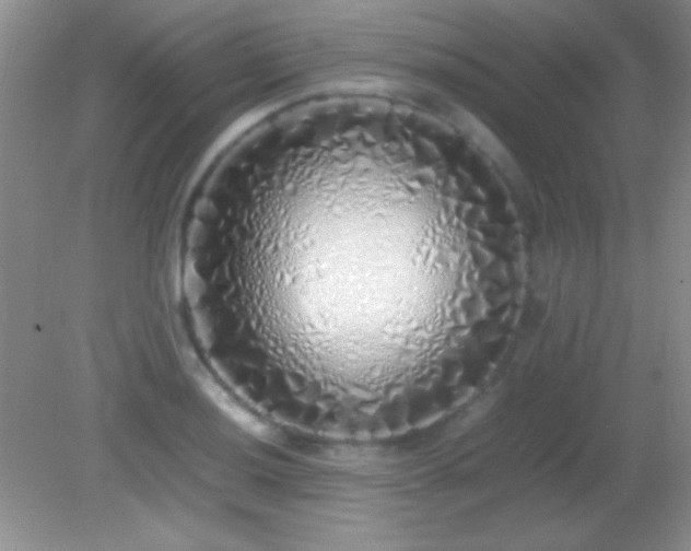 X0000082141036200701262237