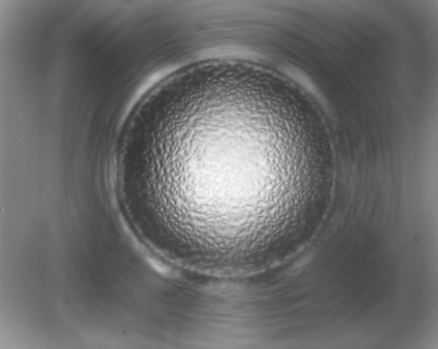 X0000082141040200701262237