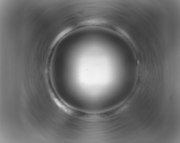 X0000082141042200701262237