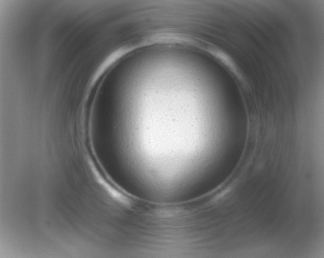X0000082141046200701262237