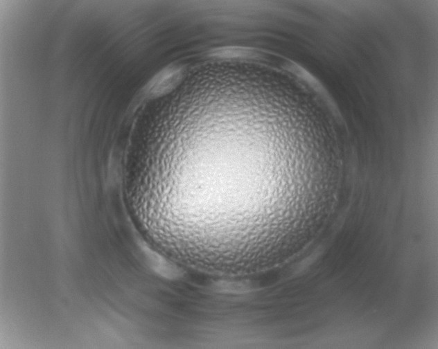 X0000082141049200701262237