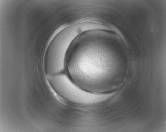 X0000082141050200701262237