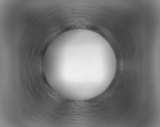X0000082141060200701262237