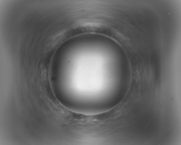 X0000082141061200701262237