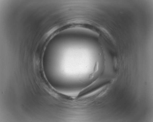 X0000082141065200701262237