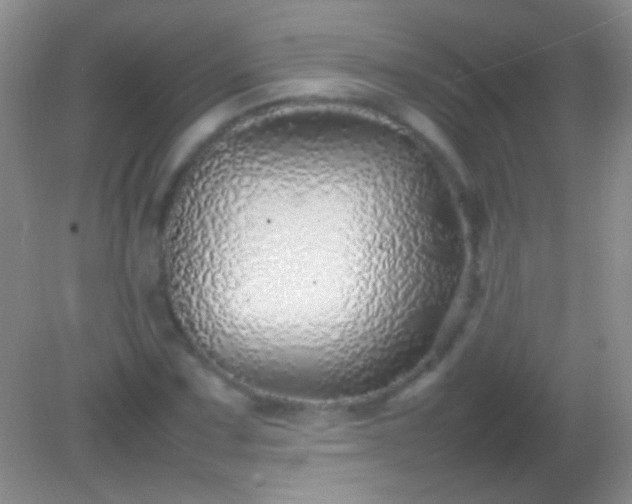 X0000082141067200701262237