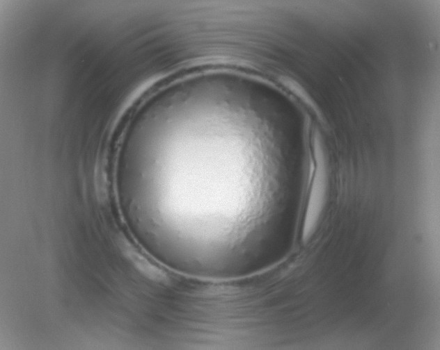 X0000082141068200701262237