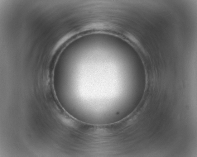 X0000082141070200701262236