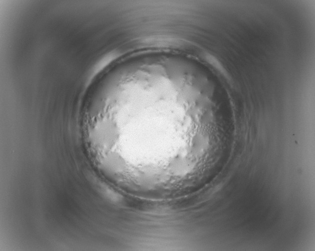 X0000082141071200701262236