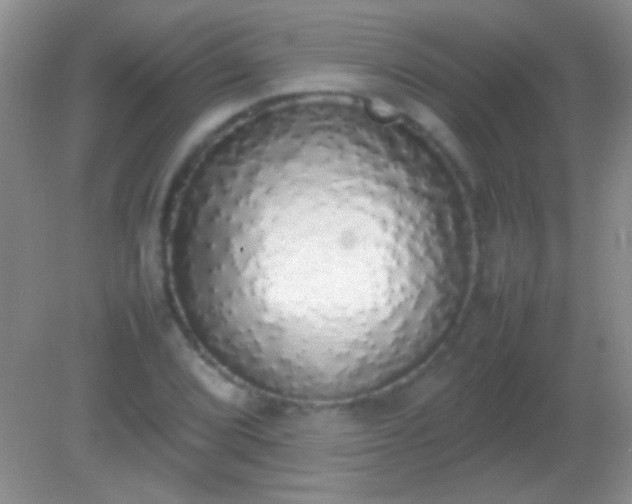 X0000082141072200701262236