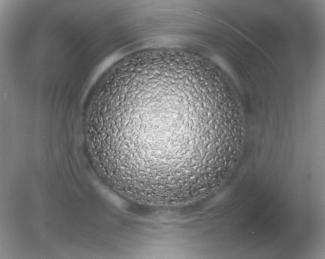 X0000082141075200701262236