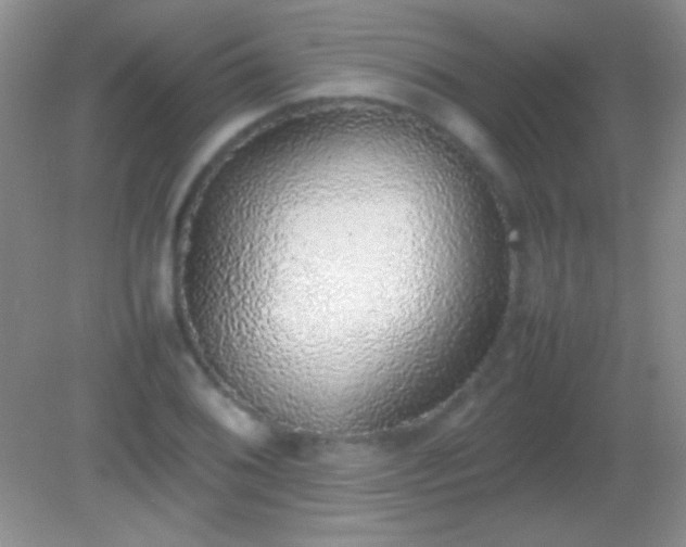 X0000082141076200701262236