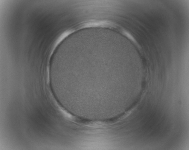 X0000082141079200701262236
