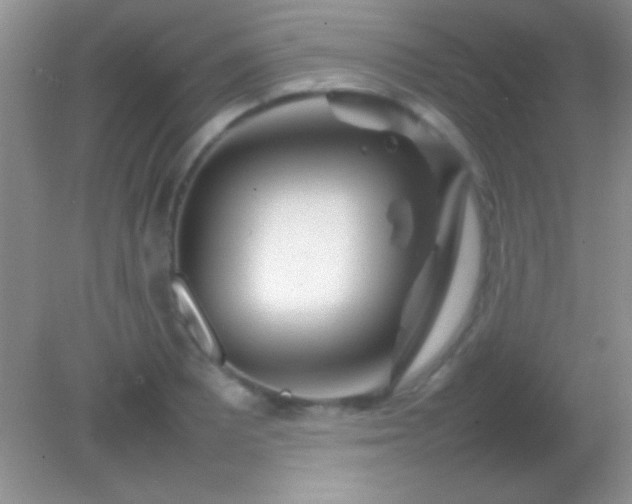 X0000082141081200701262236