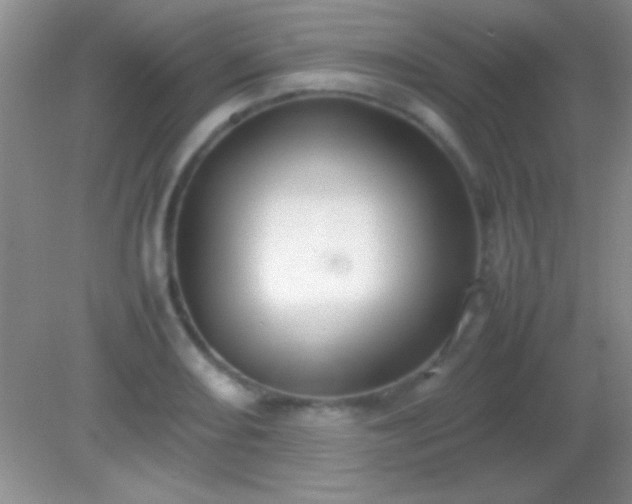 X0000082141082200701262236