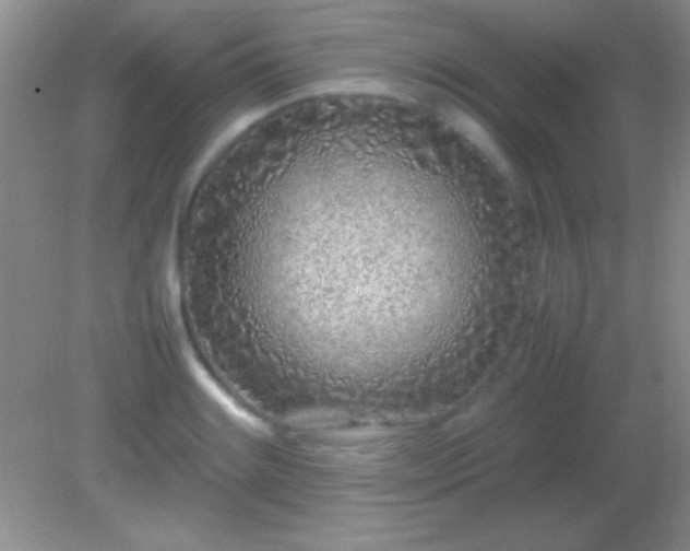 X0000082141084200701262236