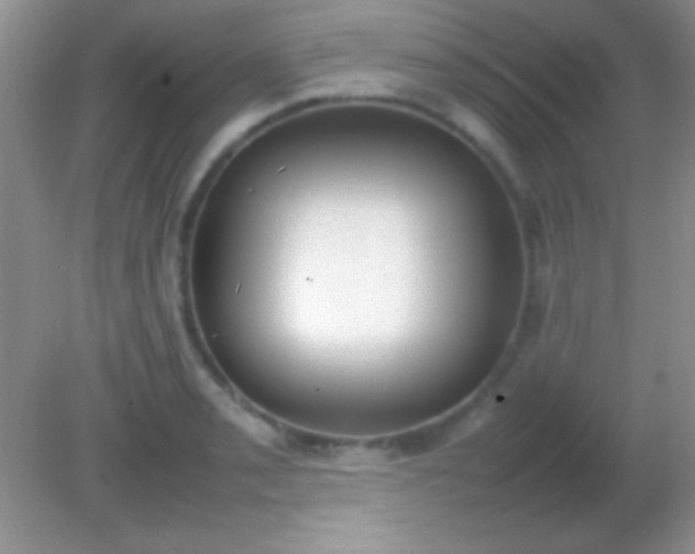 X0000082141085200701262236