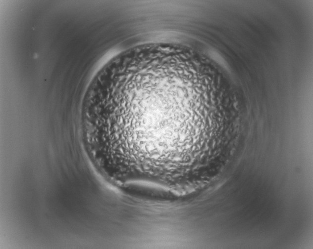 X0000082141087200701262236