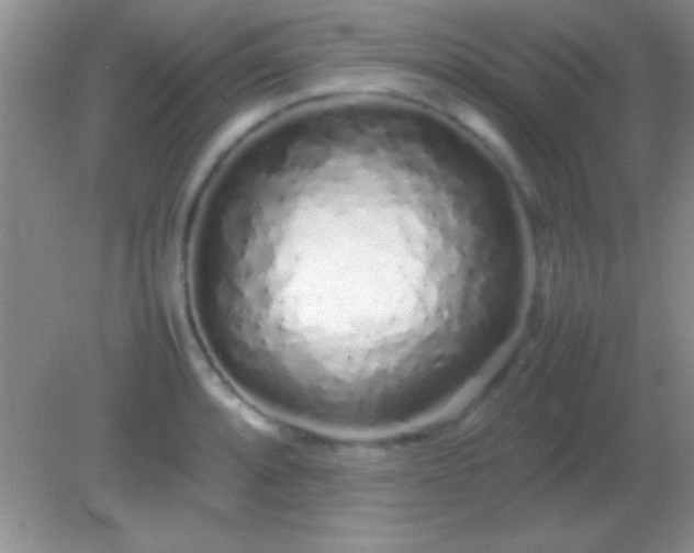 X0000082141088200701262236