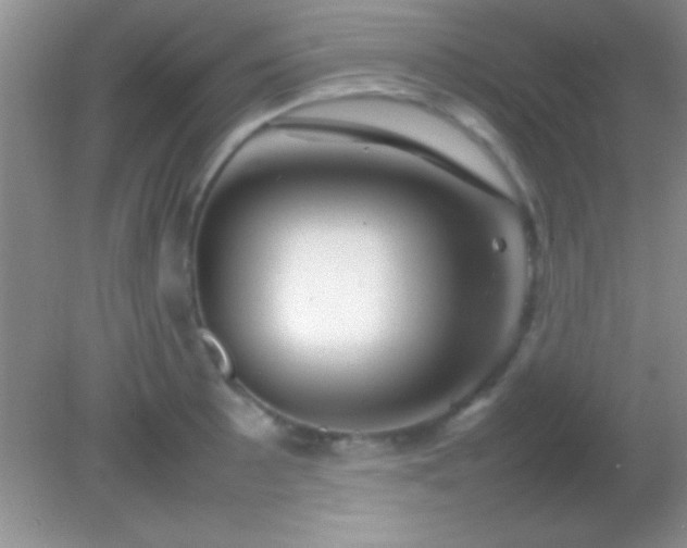 X0000082141089200701262236