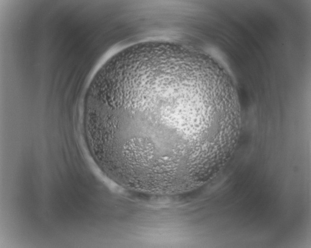 X0000082141099200701262236