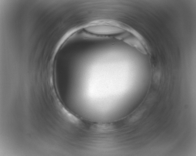 X0000082141102200701262236