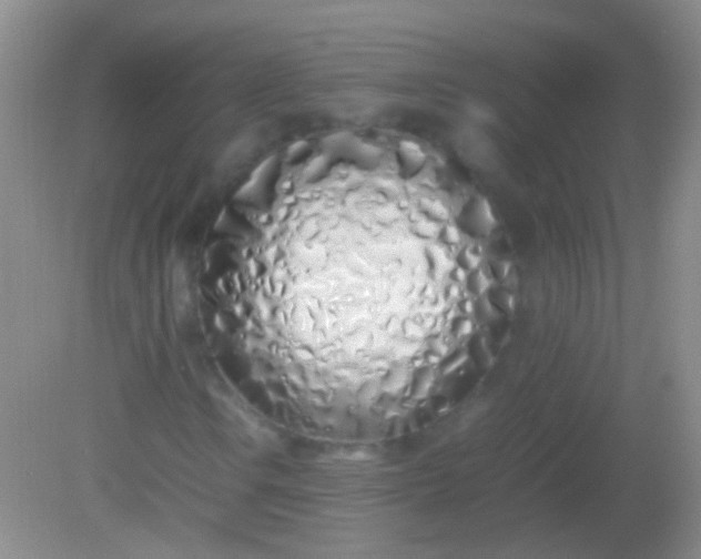 X0000082141106200701262235