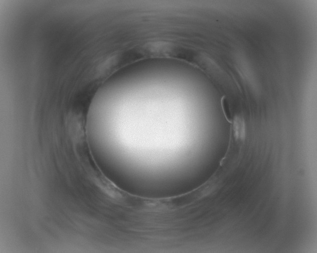 X0000082141107200701262235