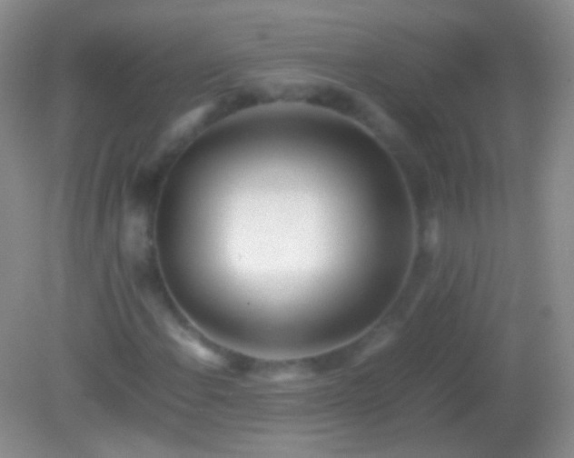 X0000082141108200701262235