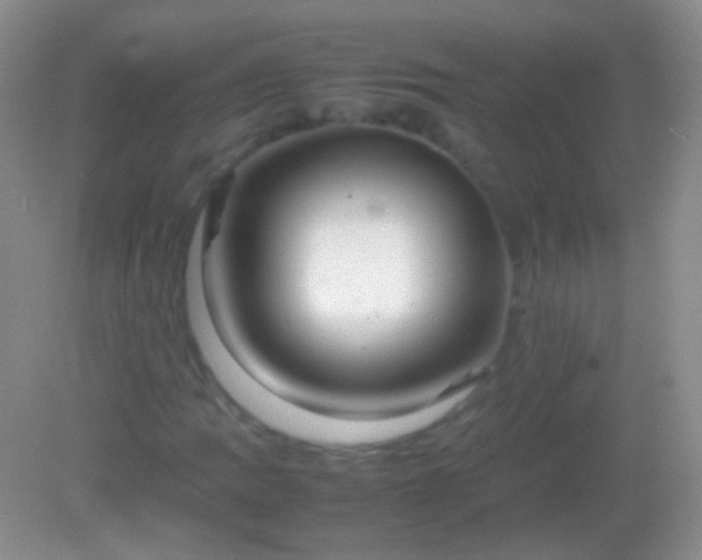 X0000082141109200701262235