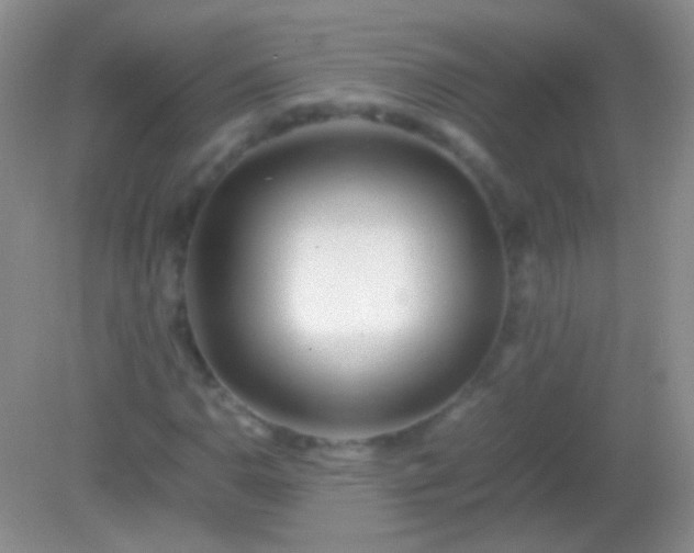 X0000082141110200701262235