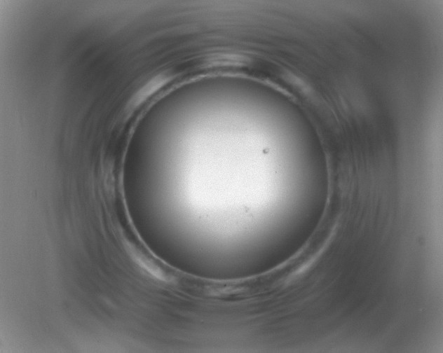 X0000082141113200701262235