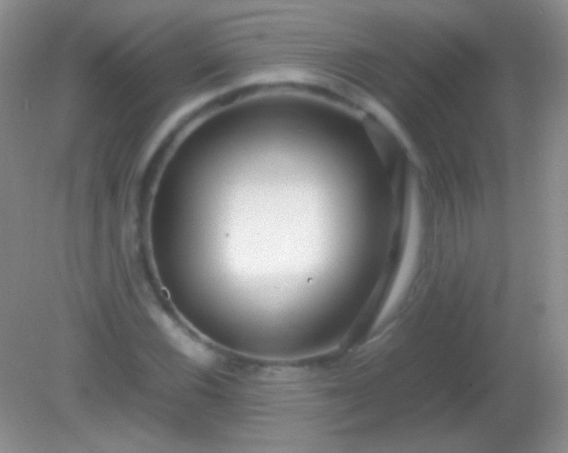 X0000082141116200701262235