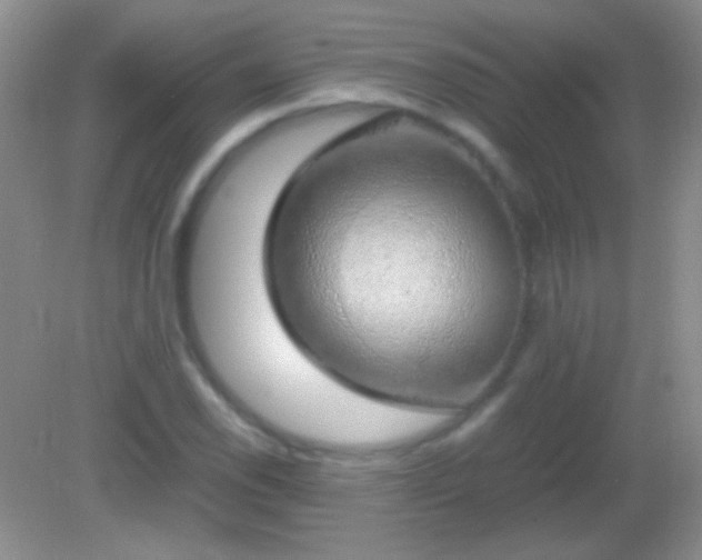 X0000082141118200701262235